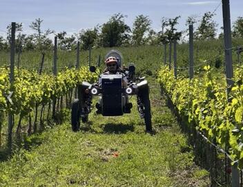 Randonnée en Swincar sur le domaine du Château de Berne